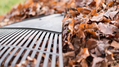 Home Cleaning Hacks for Fall