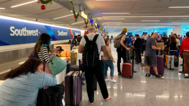 Southwest cancels flights stranding passengers