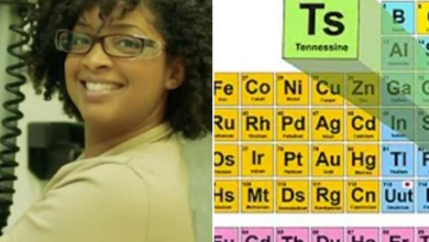 Black scientist helps discover the 117th element of the Periodic Table