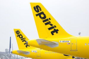 Spirit Image
