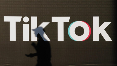 House Passes Amendment on TikTok Ban Bill, Calls for Treasury Report on Iranian Assets