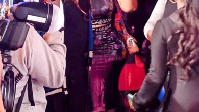 Brat Loves Judy Season 3 Reveals white sperm donor