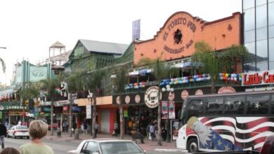 The Tijuana Tragedy: A Tale of Corruption and Retribution in Mexico