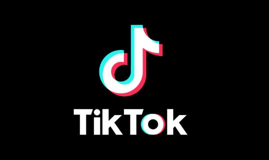 TikTok Logo