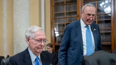 Senate Stalls on Ukraine and Israel Aid Bill Amid GOP Immigration Demands