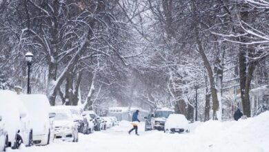 Massive Winter Storm Leaves Over 1 Million Without Power Amid Freezing Temperatures