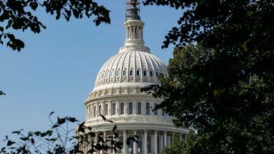 Bipartisan Breakthrough: House Passes Child Tax Credit Expansion Amidst Business Tax Cut Deal