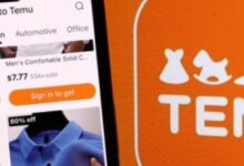Temu’s Advertising Investment Energizes Big Tech Platforms
