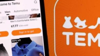 Temu’s Advertising Investment Energizes Big Tech Platforms