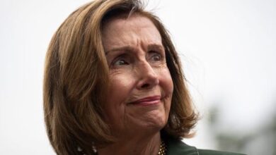 Pelosi Mobilizes to Replace Biden Amid Growing Democratic Dissent