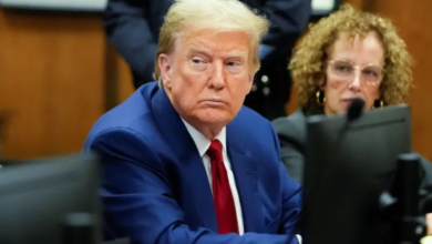 Trump Backs Elon Musk’s Plan for Government Efficiency Commission