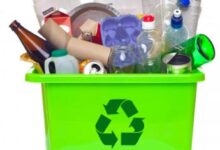 Sustainable Living Tips for You Home