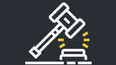 ‘A Seismic Shift’: Supreme Court Chevron Ruling Radically Alters U.S. Government with Power Grab