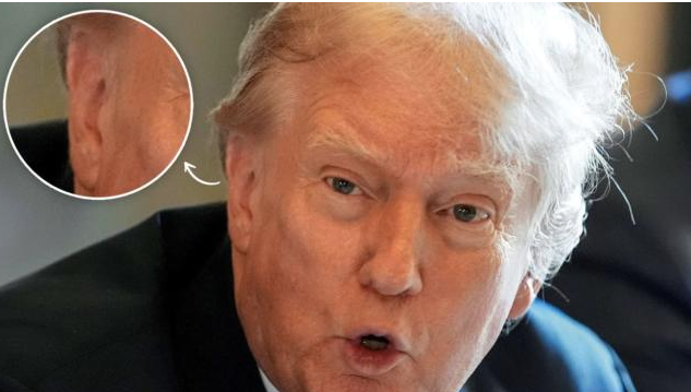 Trump Reacts Angrily to ‘Lunatic’ Project 2025, Fearing It Could Derail His Campaign Trump Reacts Angrily to ‘Lunatic’ Project 2025, Fearing It Could Derail His Campaign