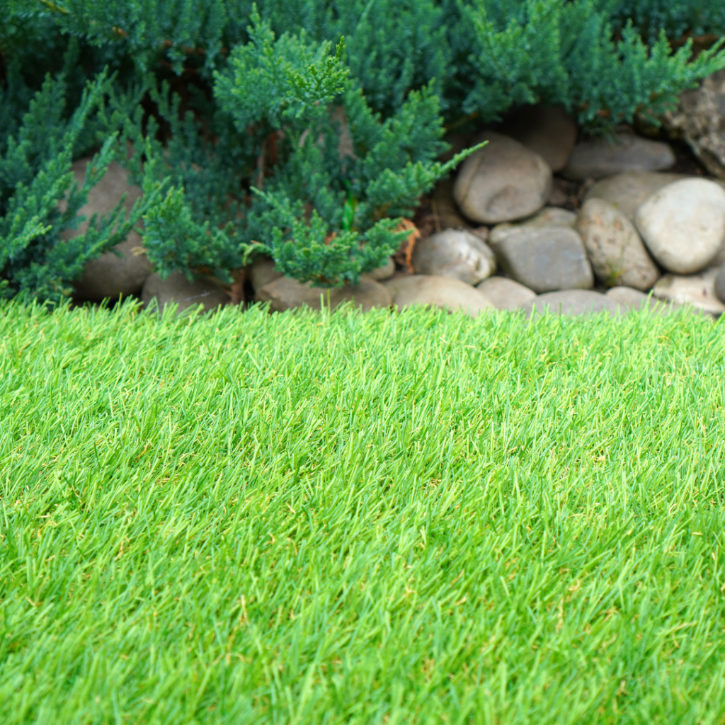 Clean up the lawn and protect your plants