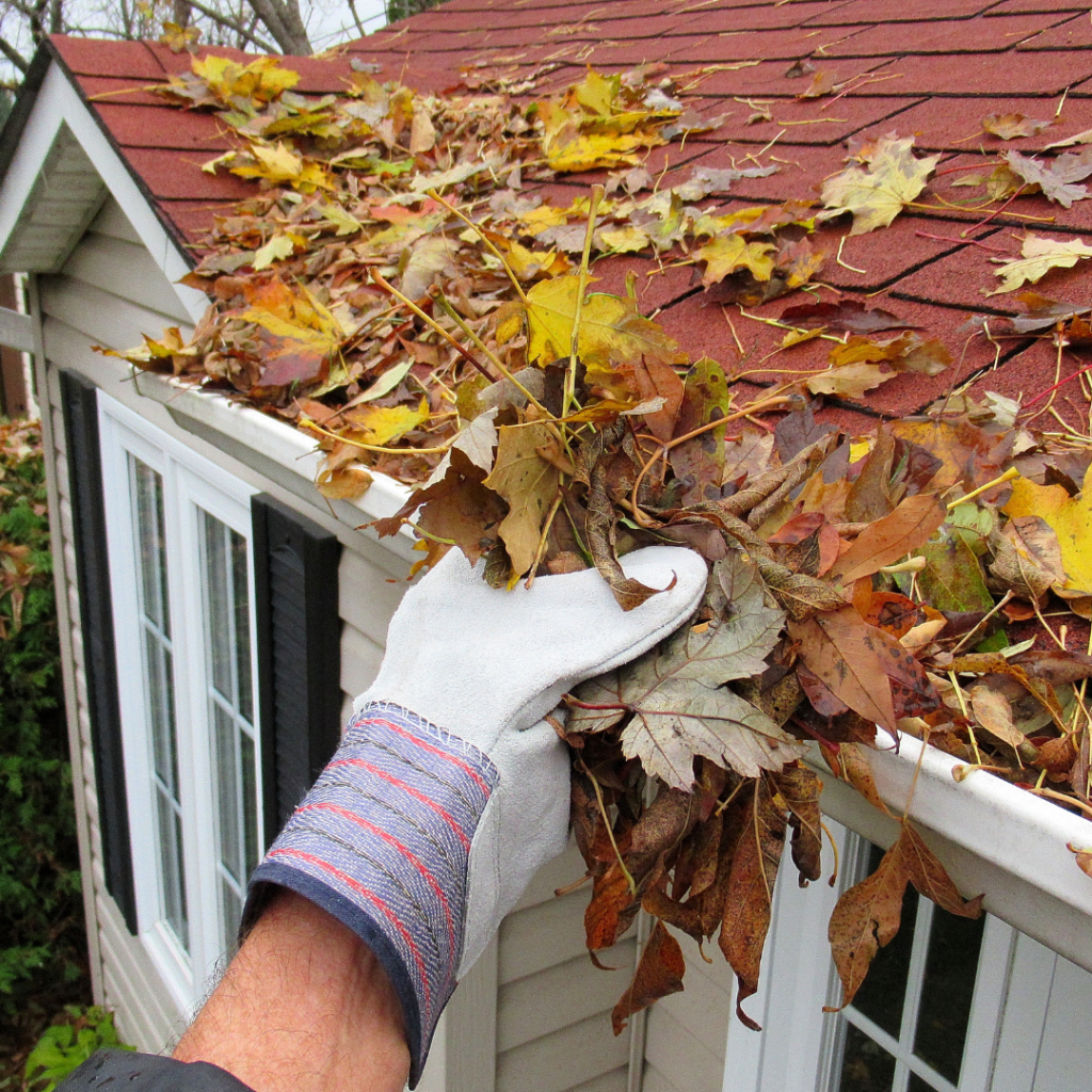Inspect and Clean Gutters