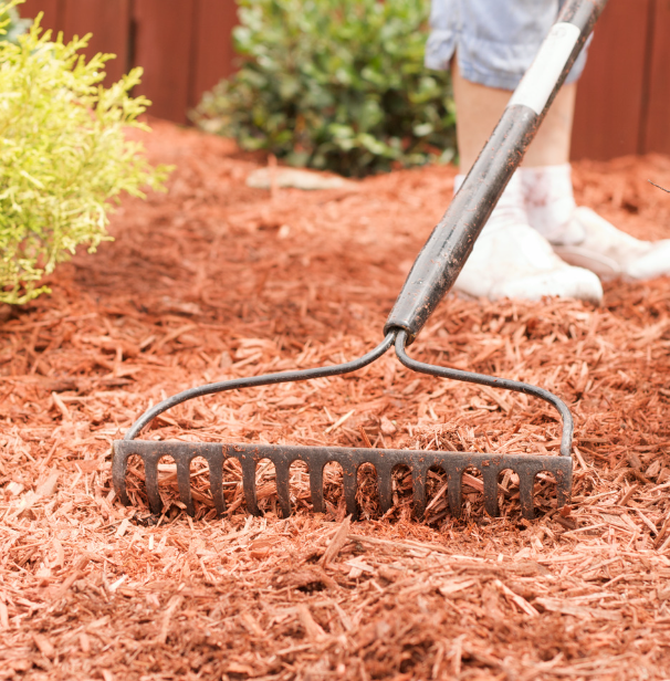 Rake and Mulch