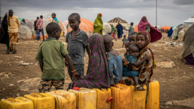 Global Water Crisis Threatens Half of World’s Food Production Within 25 Years