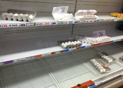 Grocery Chains Enforce Egg Limits as Bird Flu Sparks Shortages and Price Hikes Grocery Chains Enforce Egg Limits as Bird Flu Sparks Shortages and Price Hikes