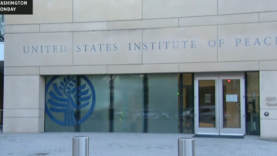 U.S. Institute of Peace staff receive termination notices, sources say