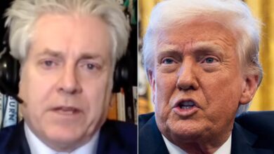 Canadian Lawmaker Spots ‘Something Deeper’ Brewing Amid Trump’s Trade War