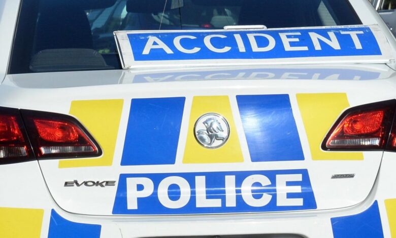 Carnage as car collides with cattle Carnage as car collides with cattle