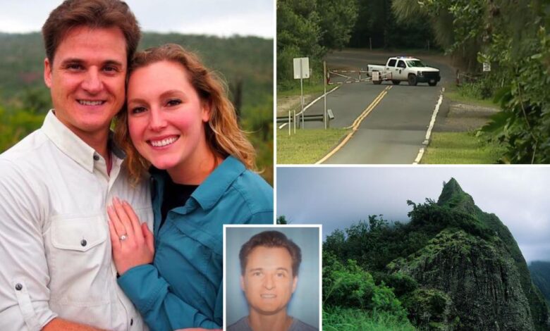 Doc accused of trying to throw wife off Hawaii cliff charged with attempted murder, bail set at M