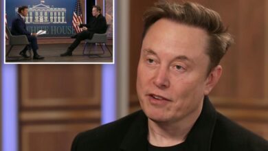 Elon Musk blasts ‘jerk’ Tim Walz for mocking Tesla’s falling stock