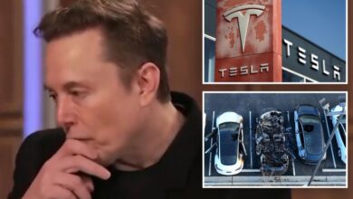 Elon Musk slams Tesla vandalism spree as ‘a great wrong’