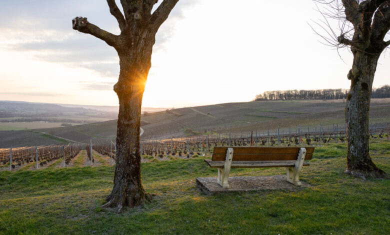 Fear of Trump’s Tariffs Ripples Through France’s Champagne Region Fear of Trump’s Tariffs Ripples Through France’s Champagne Region