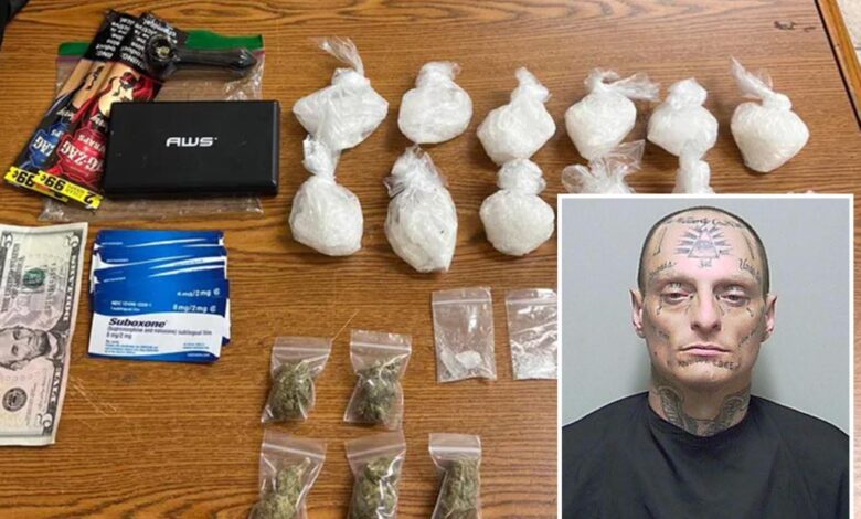 Florida man found with meth in his underwear tells police ‘there’s nothing wrong with drugs’ Florida man found with meth in his underwear tells police ‘there’s nothing wrong with drugs’