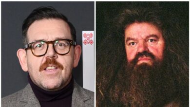 HBO’s ‘Harry Potter’ Show Eyes Nick Frost to Play Hagrid