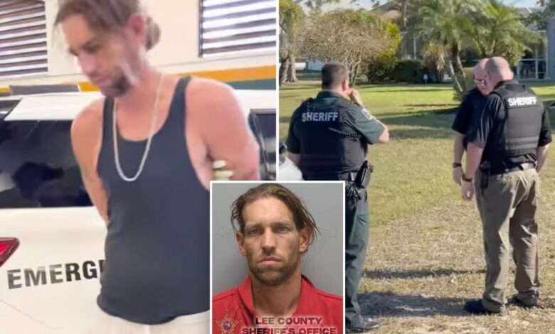 ‘Heinous’ sicko left cats’ heads on homeowner’s mailbox: police ‘Heinous’ sicko left cats’ heads on homeowner’s mailbox: police