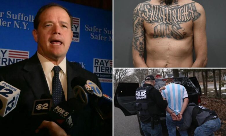 Long Island DA reveals 3 twisted ‘rules’ that made MS-13 a plague in the suburbs Long Island DA reveals 3 twisted ‘rules’ that made MS-13 a plague in the suburbs