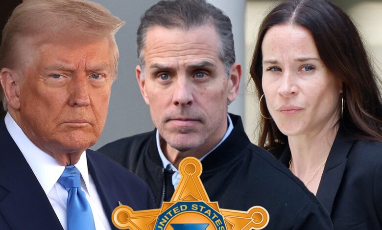 President Trump Revokes Secret Service Protection for Hunter Biden, Sister Ashley President Trump Revokes Secret Service Protection for Hunter Biden, Sister Ashley