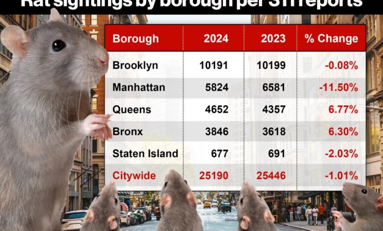 Rat sightings up by 119% in this NYC nabe – as vermin-hating locals claim ‘every house has rats’