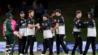 Sky Stadium, Wellington, pitch history and T20I records