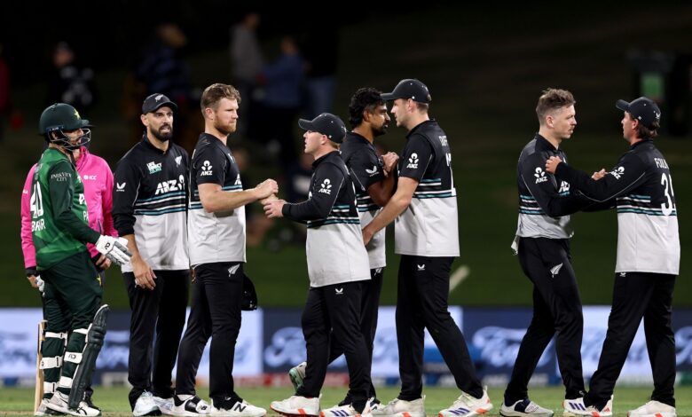 Sky Stadium, Wellington, pitch history and T20I records Sky Stadium, Wellington, pitch history and T20I records