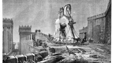 Social Contract Ambiguity – Econlib