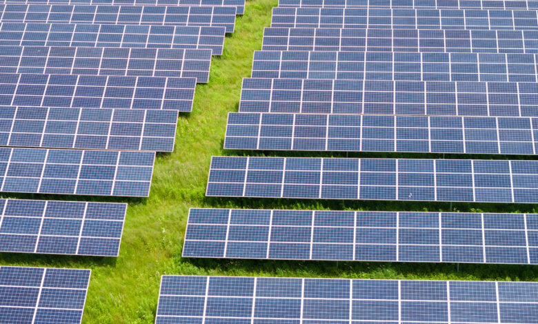 Solar Energy, Criticized by Trump, Claims Big U.S. Gain in 2024