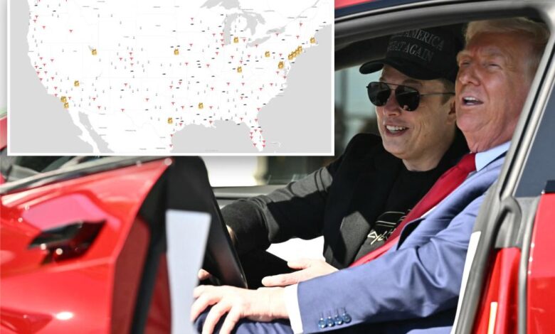 Tesla doxing website shows owners’ personal details, has Molotov cocktail as cursor Tesla doxing website shows owners’ personal details, has Molotov cocktail as cursor