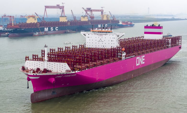US not prepared to win economic war against China-built containerships