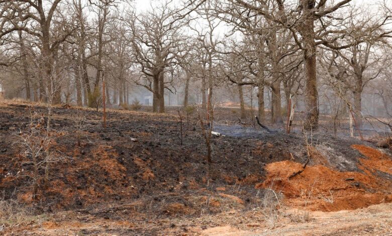 Severe weather storms move through U.S. with tornadoes, wildfires; at least 3 dead in Texas Severe weather storms move through U.S. with tornadoes, wildfires; at least 3 dead in Texas