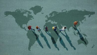 American Scientists Are Looking For Jobs Abroad