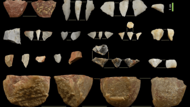 Archaeologists hike up a cliff and find 20,000-year-old stone tools