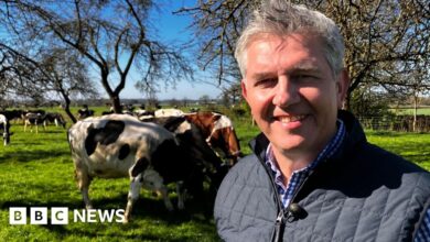 ‘Be careful, Sir Keir’ – Cheesemaker’s warning on trade deal