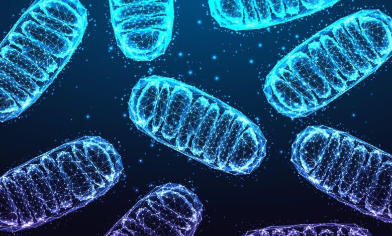 Could Mitochondria Be The Missing Link In Mental Illness? 12 Insights Could Mitochondria Be The Missing Link In Mental Illness? 12 Insights