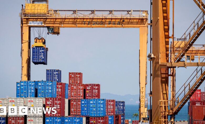 Donald Trump’s tariffs will make global trade shrink, says WTO Donald Trump’s tariffs will make global trade shrink, says WTO