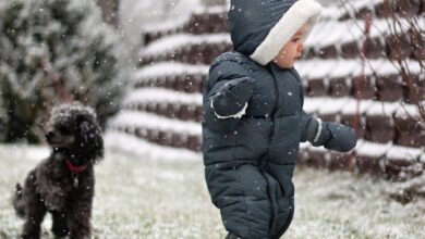 Europe’s population is adapting better to cold than to heat, study shows