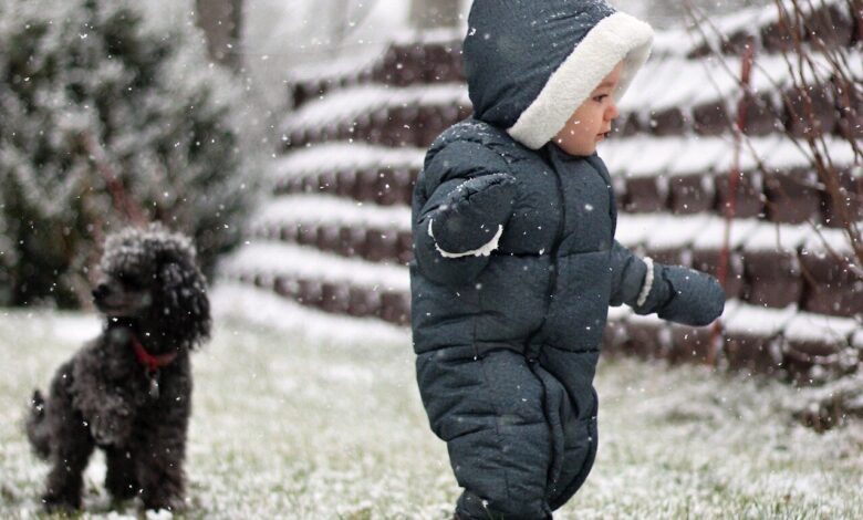 Europe’s population is adapting better to cold than to heat, study shows Europe’s population is adapting better to cold than to heat, study shows